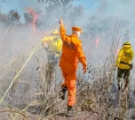 Incêndios florestais