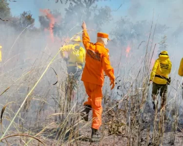 Incêndios florestais
