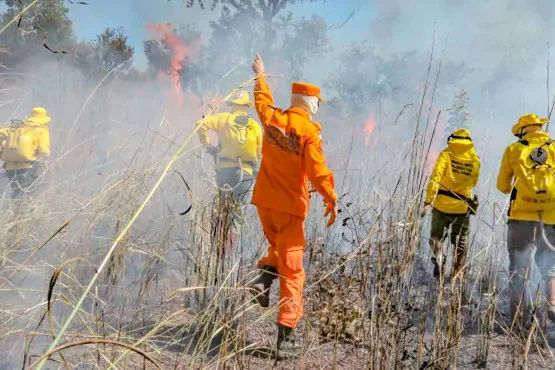 Incêndios florestais