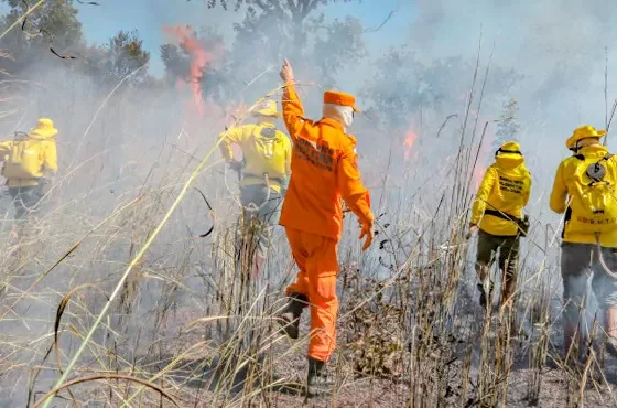 Incêndios florestais