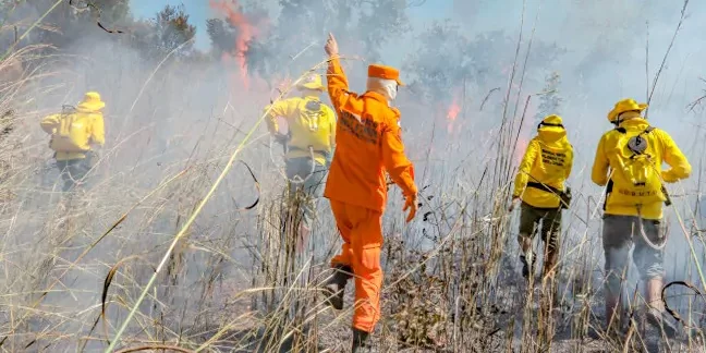 Incêndios florestais