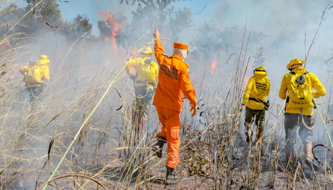 Incêndios florestais