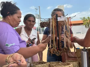 Quebradeiras de coco