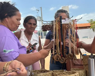 Quebradeiras de coco