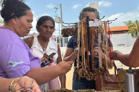 Quebradeiras de coco