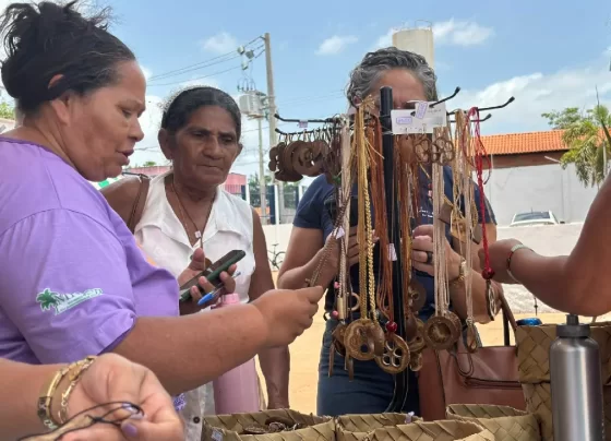 Quebradeiras de coco