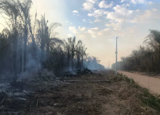 El Niño