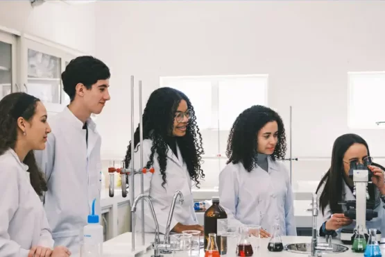 Superdotação: nova lei cria política nacional para estudantes com altas habilidades – Portal Jaciara Barros Superdotação