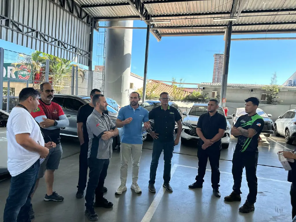 BYD Palmas