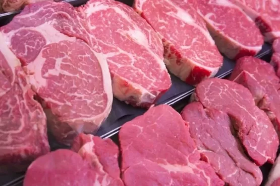 Exportações de carne bovina brasileira enfrentam pressão da União Europeia e da China – Portal Jaciara Barros exportações