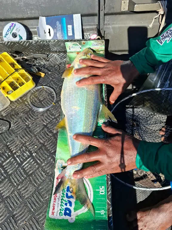 Mulheres de Linha reúne pescadoras em experiência de pesca esportiva no Tocantins