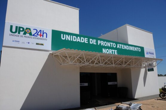 upas palmas