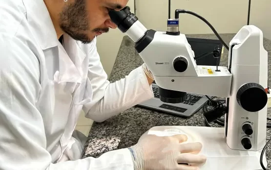 INCT TerrEcotox