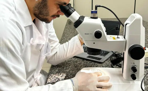 INCT TerrEcotox